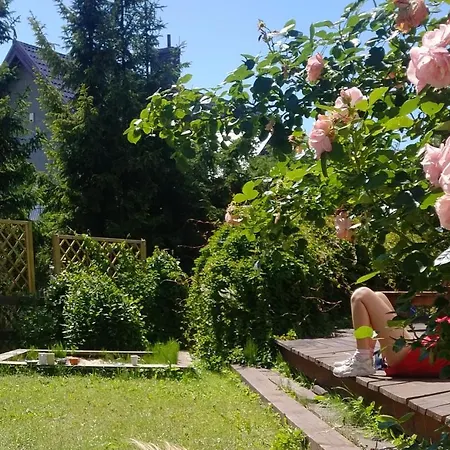 Niebieskie Lato - Mieroszyno W Poblizu Jastrzebiej Gory * Ястшембя-Гура