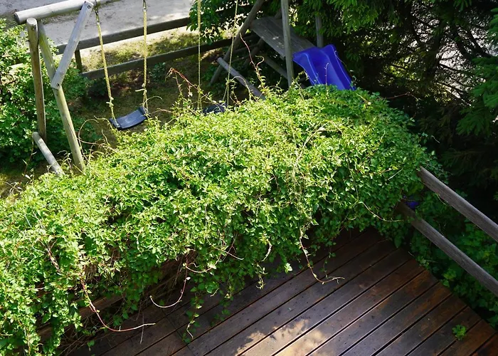 شقة Niebieskie Lato - Mieroszyno W Poblizu Jastrzebiej Gory *